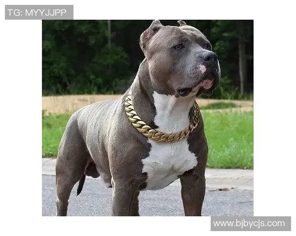 康纳与布洛克的巅峰对决谁能在这场战斗中笑到最后